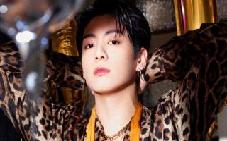 flashback-friday-when-bts-jungkook-revealed-his-mothers-dream-of-golden-rain-and-seven-piglets-before-his-birth-conception-dream-taemong-k-pop-idol-korean-pop-culture